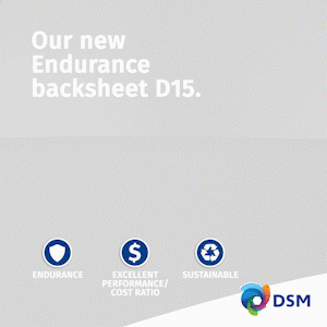 DSM endurance backsheet D15 300x300